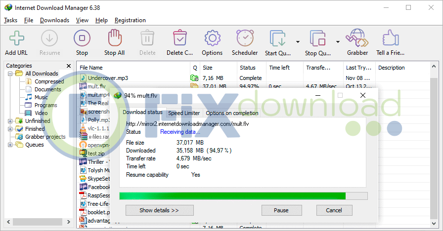 Video saving process in Internet Download Manager (IDM)